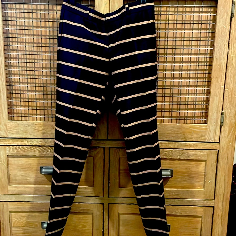 NWT Banana Republic Ryan Pant SZ 2